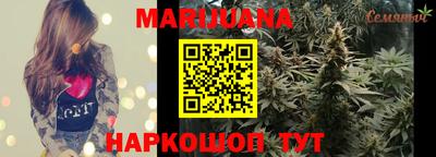 шишки Будённовск