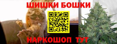 шишки Будённовск