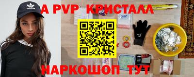 шишки Будённовск