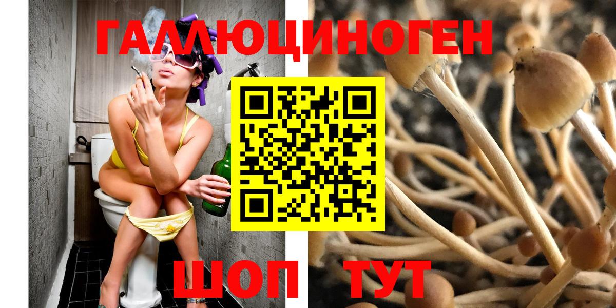Тюмень  Галлюциногенные грибы мухоморы  Вход с VPN 