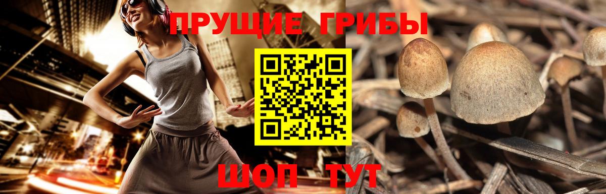 Псилоцибиновые грибы мухоморы Тюмень
